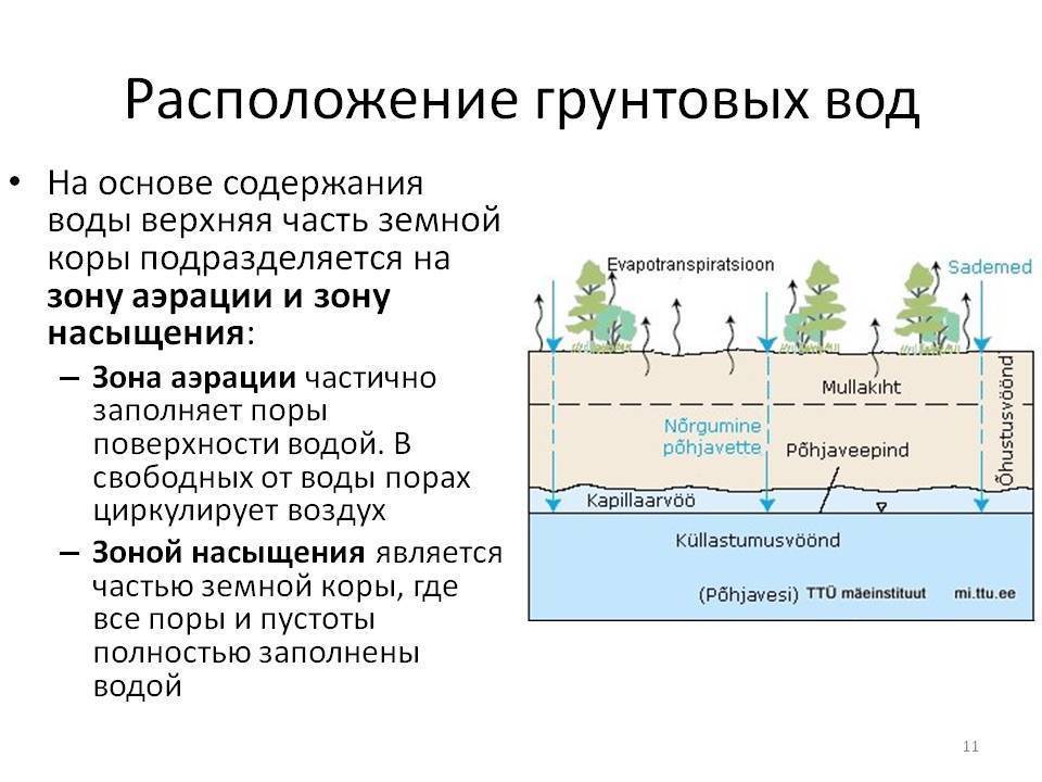 Как определить уровень грунтовых вод — masterseptika.ru