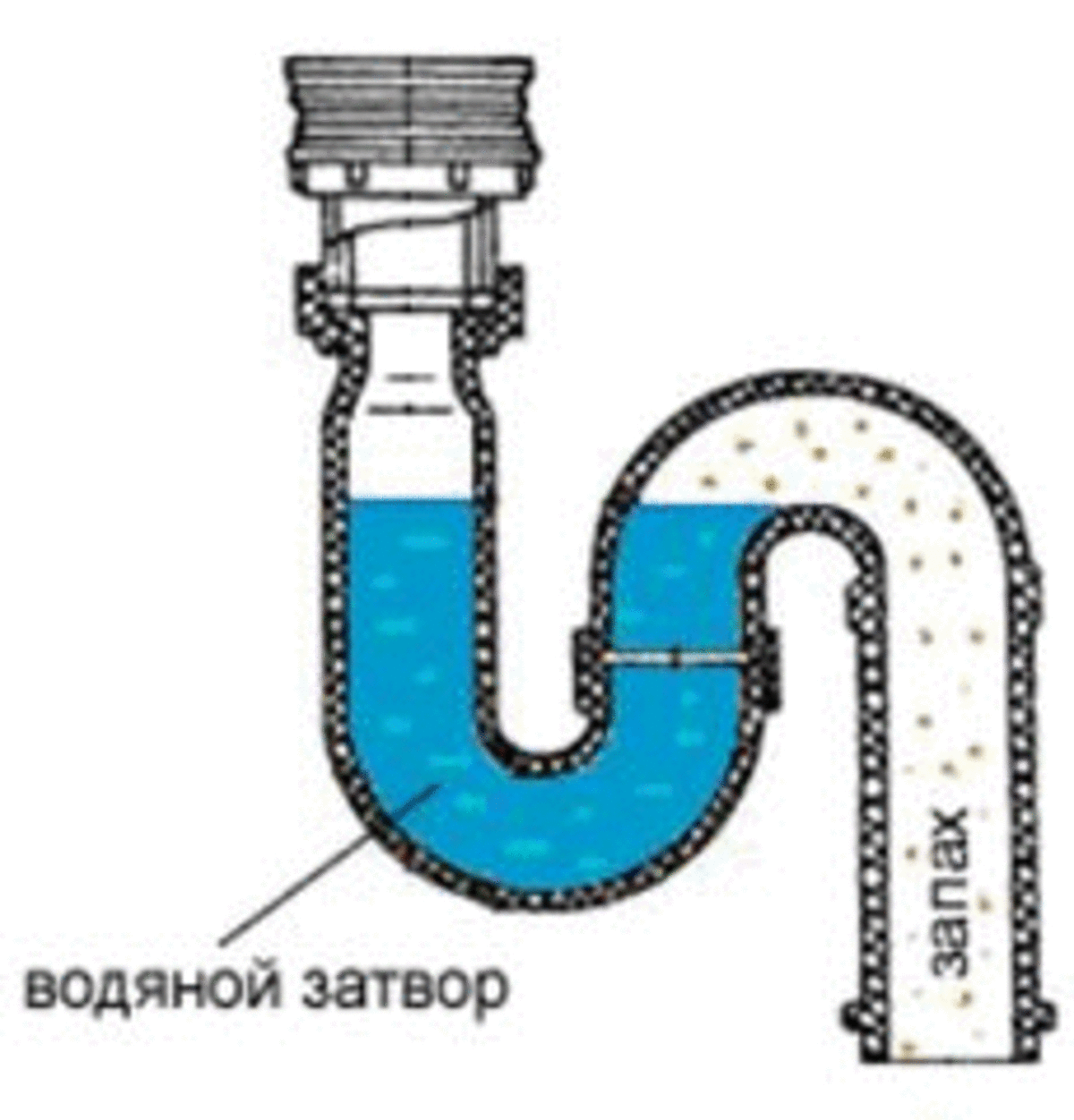 Гидрозатвор для канализации - гарантированная защита от неприятных запахов