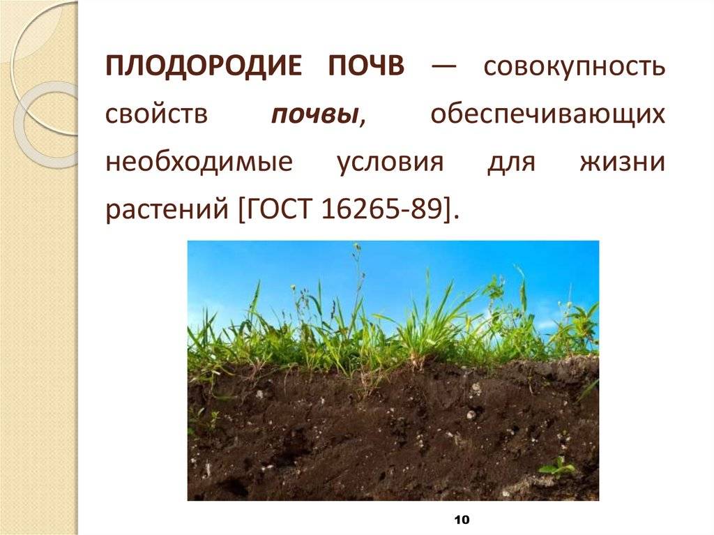 Как улучшить структуру почвы и повысить ее плодородие — викистрой