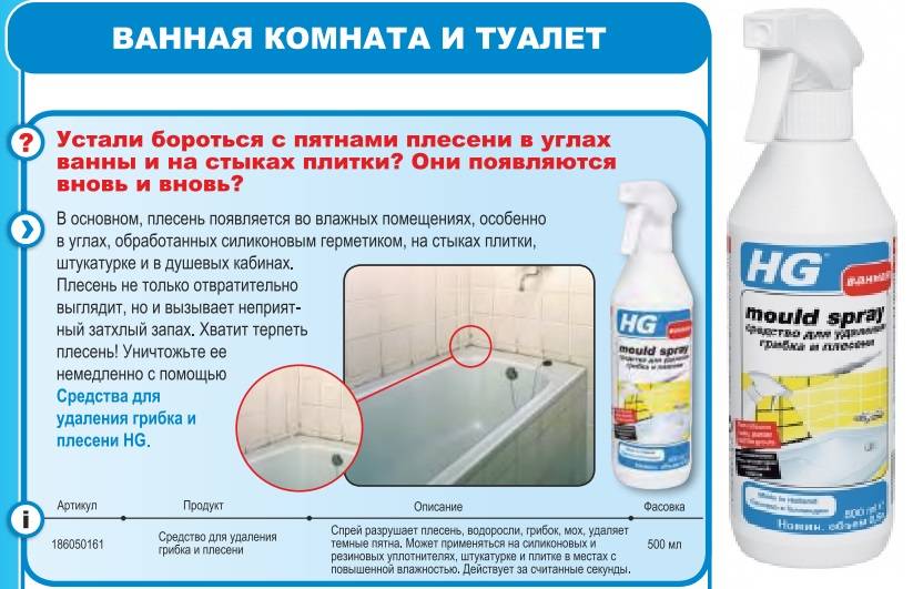 Как вывести грибок в ванной комнате