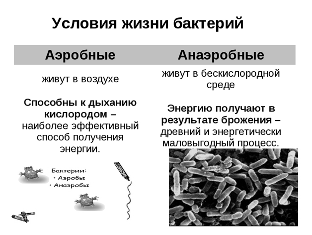Флегмона - лечение, осложнения, операция, фото