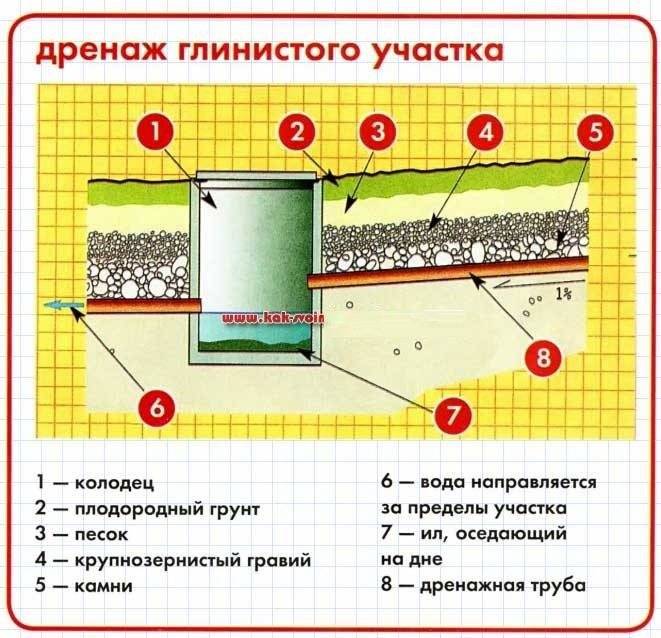 Септик при высоком уровне грунтовых вод - какой выбрать