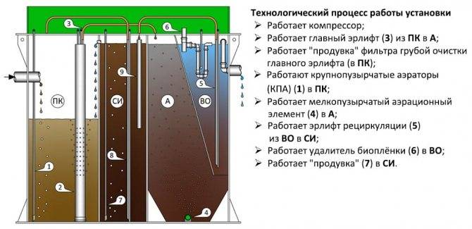 Плюсы и минусы септика евробион