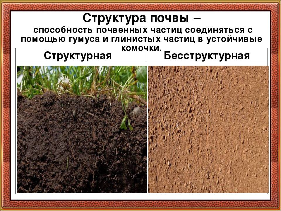 Какая бывает почва, и как её улучшить? типы почв. способы улучшения. повышение плодородия — ботаничка