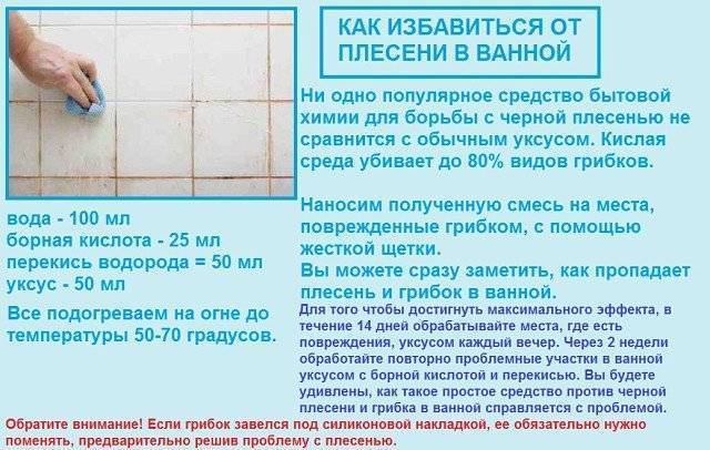Как убрать плесень в ванной, как вывести грибок (на потолке и плитке стен, с герметика и силикона, на шторе), народные средства и инструкции