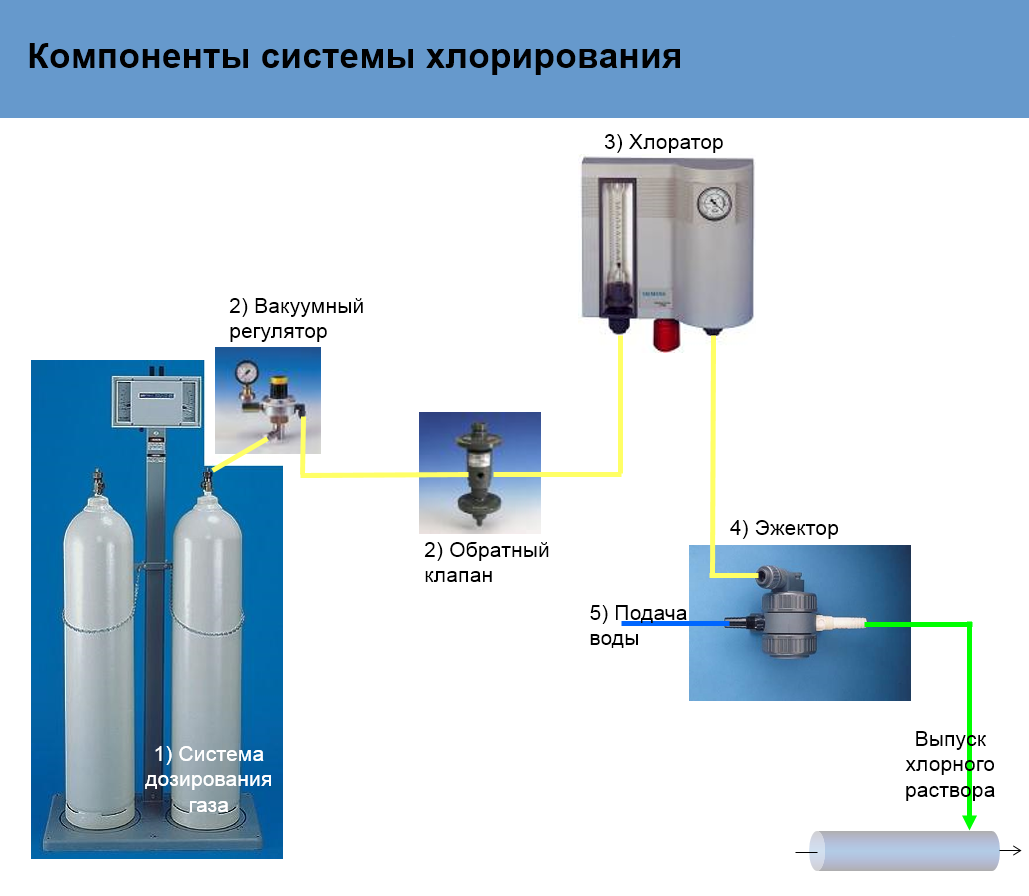 Опасна ли для растений водопроводная вода? фото — ботаничка